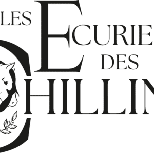 Les écuries des Chillins (03800)