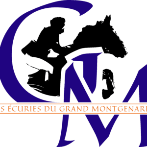 Les écuries du grand Montgenard (53470)