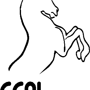 Les Grandes Marques (38300)