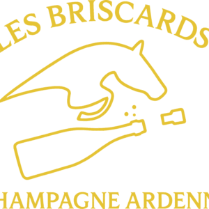 Les Briscards (02220)