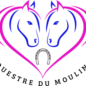 Centre Equestre du Moulin d'Airion (60600)