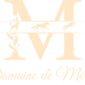 DOMAINE DE MERYS (24130)