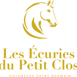 LES ECURIES DU PETIT CLOS (02200)