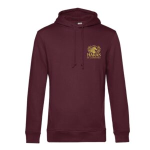 SWEAT A CAPUCHE (enfant) - Haras de l’esperanza - Bordeaux - K477