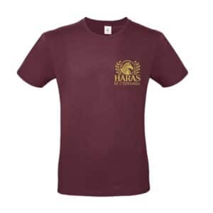 T-SHIRT (homme) - Haras de l’esperanza - Bordeaux - BC03T
