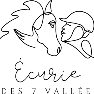 Ecurie des 7 vallées (62960)