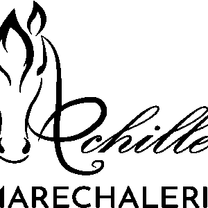 ACHILLE MARECHALERIE (61570)