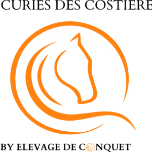 Écuries des Costières (30000)