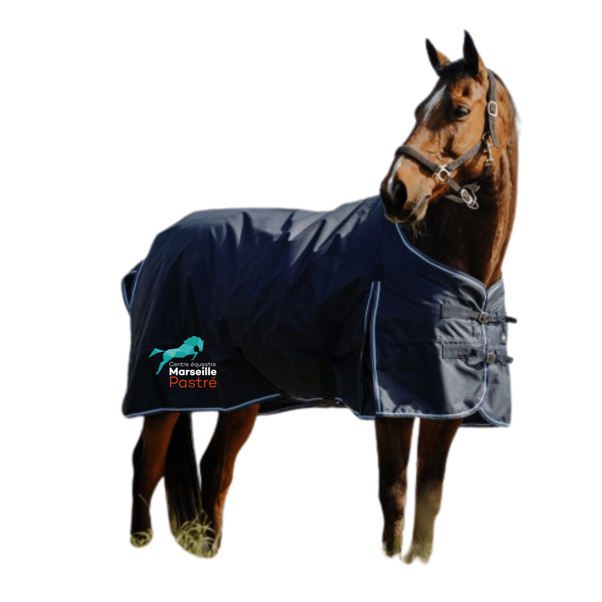 Couverture d’extérieur riding world - Centre équestre Marseille Pastré - Navy - 400896