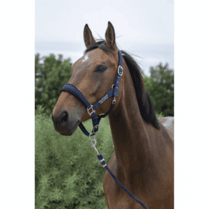 Licol + Longe Norton Large - Atlantique Dressage - Navy - 510249