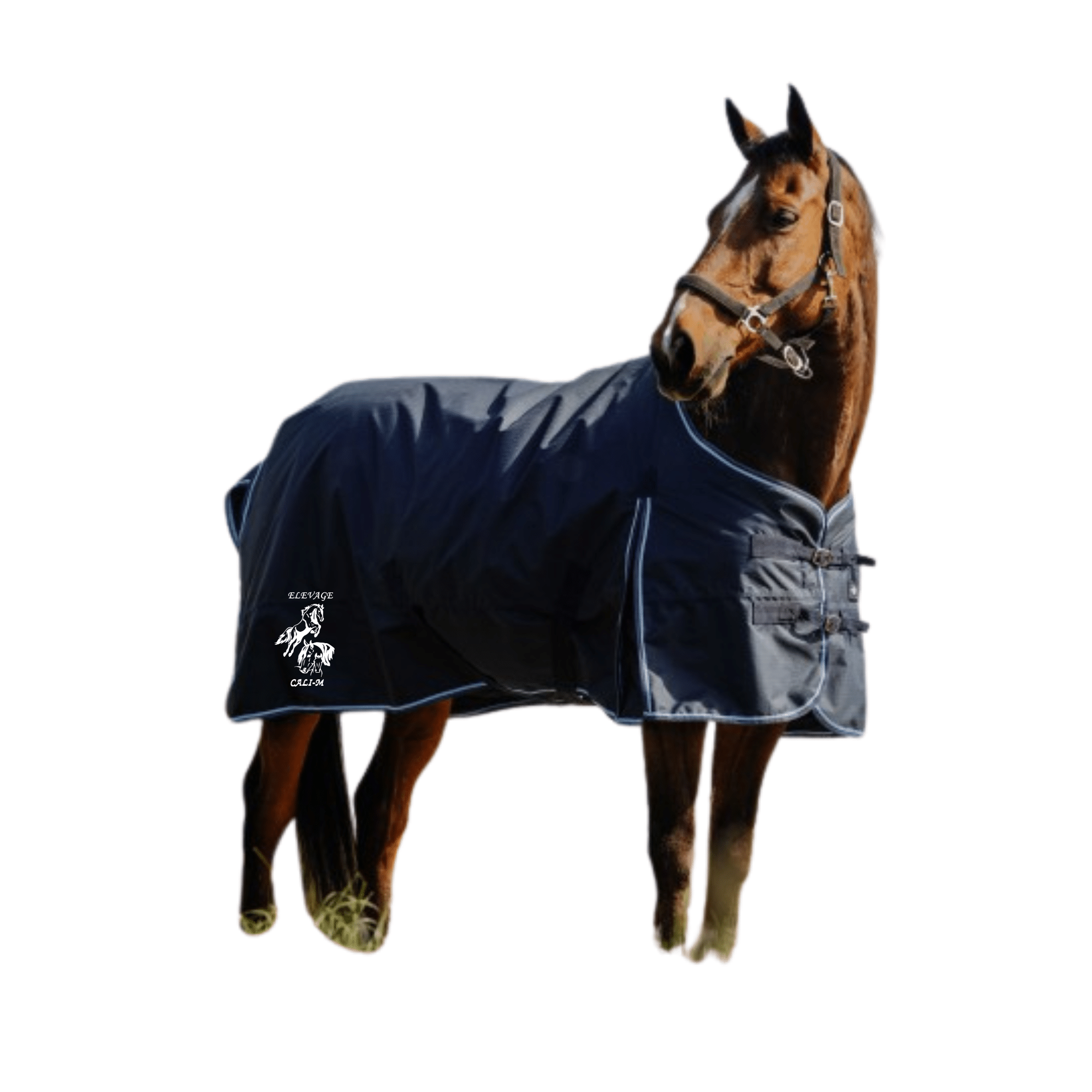 Couverture d’extérieur riding world - Elevage CALI-M - Navy - 400896