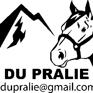 Earl assenare (01170)