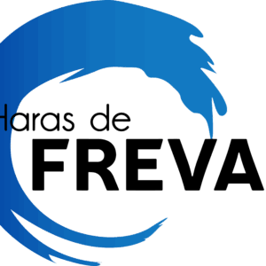 Haras de Freval (50840)