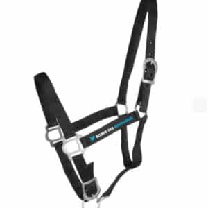 Licol + longe RIDING WORLD "Club" - Ecurie des Cavalous – Noir - 510118