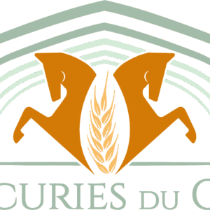 LES ECURIES DU CRAY (52000)
