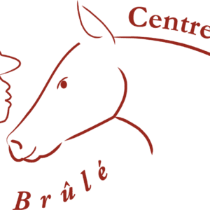 Les Tuniques Bleues (44115)