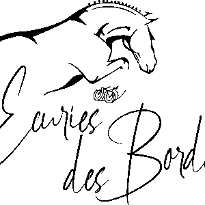 Les Écuries des Bordes (28160)
