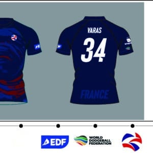 Maillot manches courtes [col rond] (homme) - Association du dodgeball français - BON-MC V100