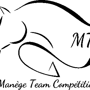 Manège team compétition (56310)