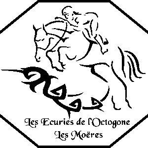 Les écuries de l'octogone (59122)