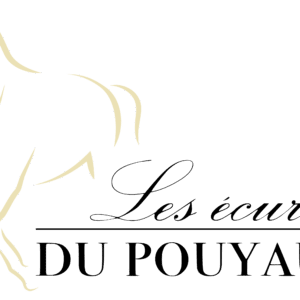 Les Ecuries du Pouyaud (86160)