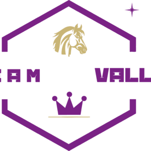 Team vallée équitation (95610)