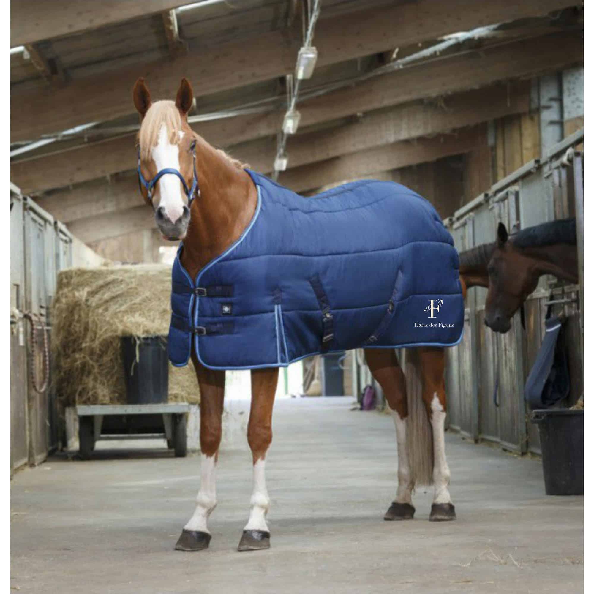 Couverture d'écurie RIDING WORLD - Haras des figons - Bleu Marine/Bleu Ciel - 400505