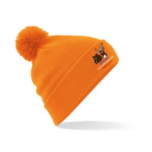 BONNET AVEC POMPOM - Diane Villespassans et cébazan - Orange - BF426
