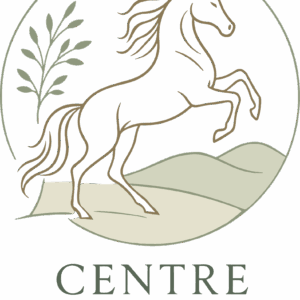 Centre Equidéal (26130)