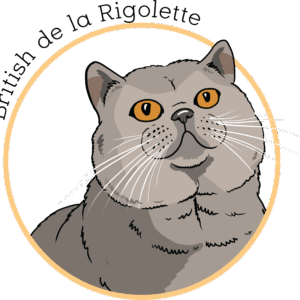 La Rigolette (01300)