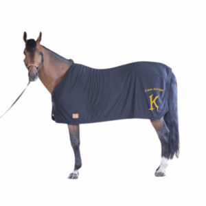 Chemise séchante Paddock Sports - Ecurie Korrigan - 400015