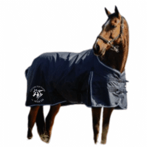 Couverture d’extérieur riding world - Centre Equestre du Marais (39) – Navy - 400896