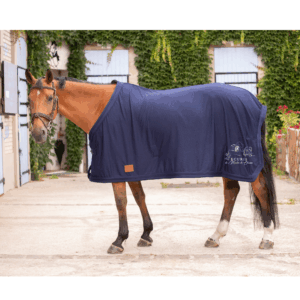 Chemise séchante Paddock Sports - Les écuries du moulin de chaume - Noir - 400015