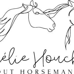 Aurélie Houchene About Horsemanship (77210)