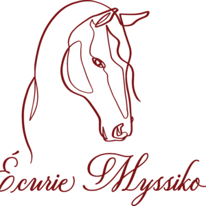 Ecurie Myssiko (56650)