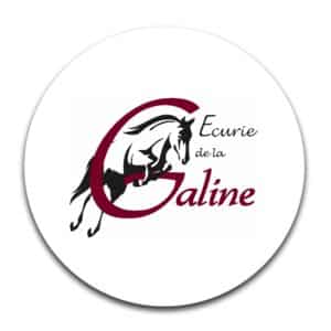 STICKER ROND - ecurie de la galine - STI001