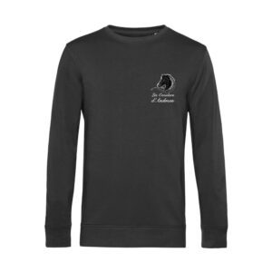 SWEAT COL ROND (femme) - SARL Les Cavaliers d'Andman - Gris Anthracite - BCW01Q
