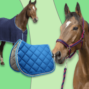 Equipement du cheval