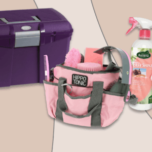 Soins et entretien du cheval