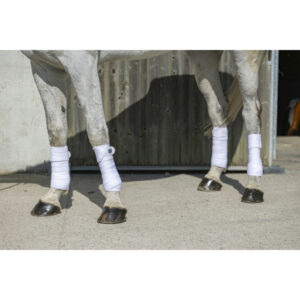 Bandes de polo Riding World Eco - Set de 4 - 540072