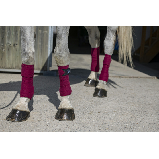 Bandes de polo Riding World Eco - Set de 4 - 540072 – Image 2