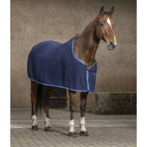 Chemise RIDING WORLD - Éponge - 400044