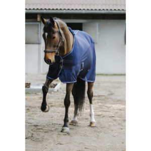 Chemise EQUITHÈME - Classic - 3D mesh - 400542