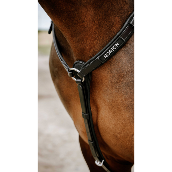 Collier de Chasse Norton Pop - 306617 – Image 3