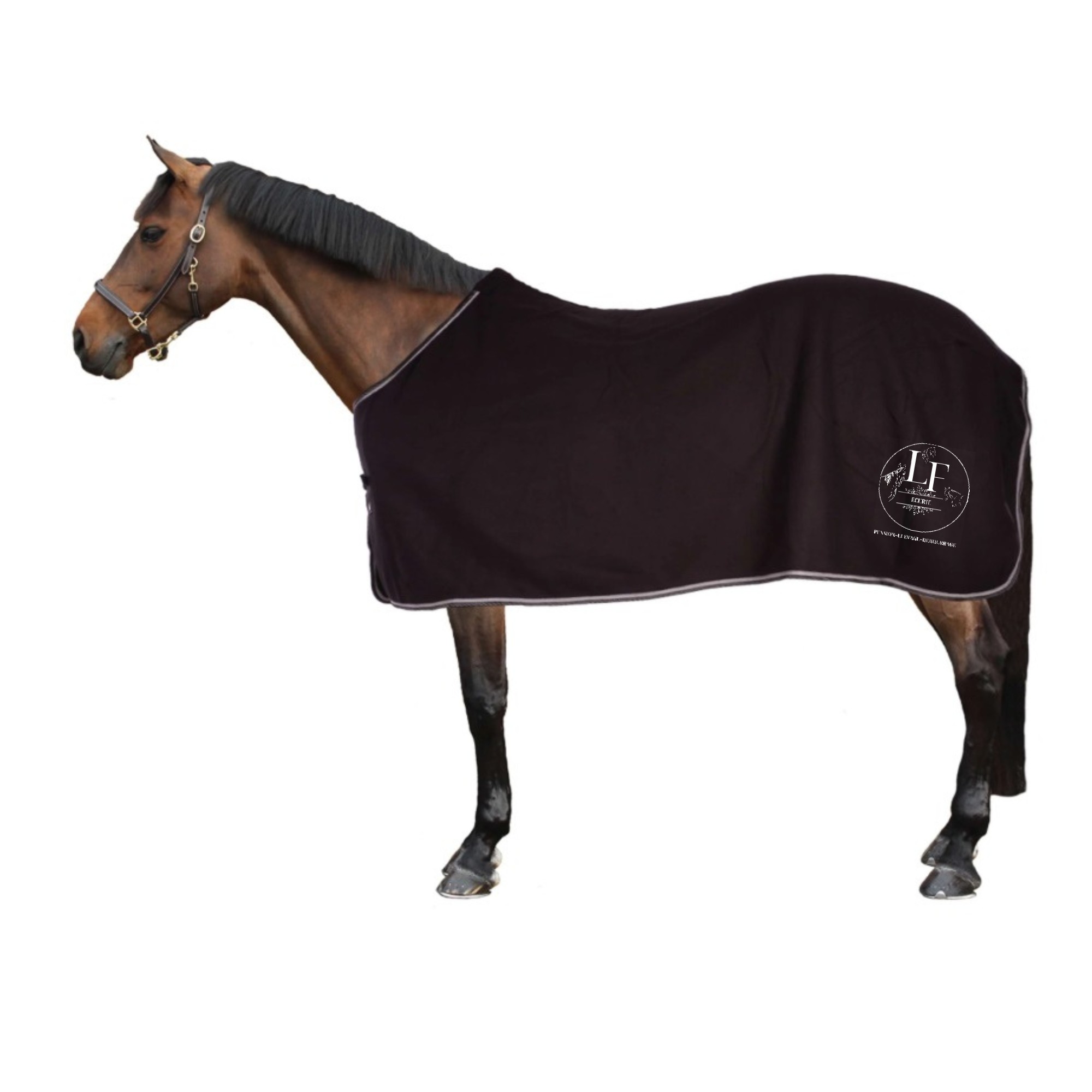 Chemise polaire Riding World (sans attaches) - Ecurie L.F - Noir - 400636