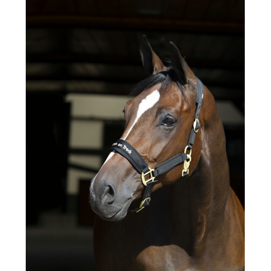 Licol Back on Track Werano - B20641 – Image 2