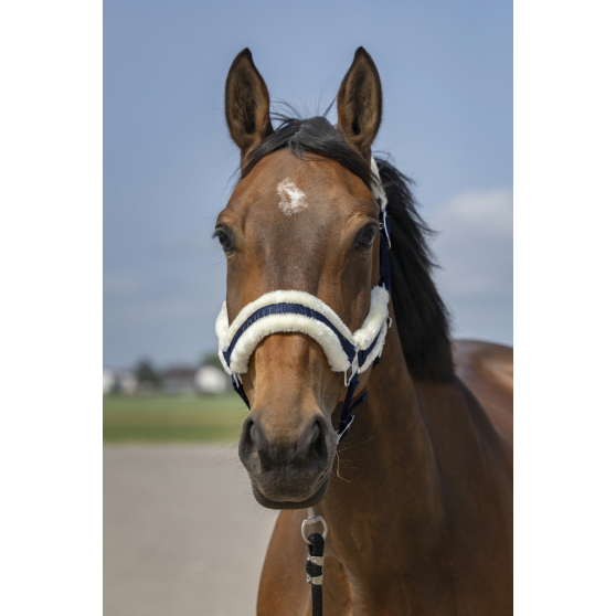 Licol EQUITHÈME Mouton - 510253 – Image 3