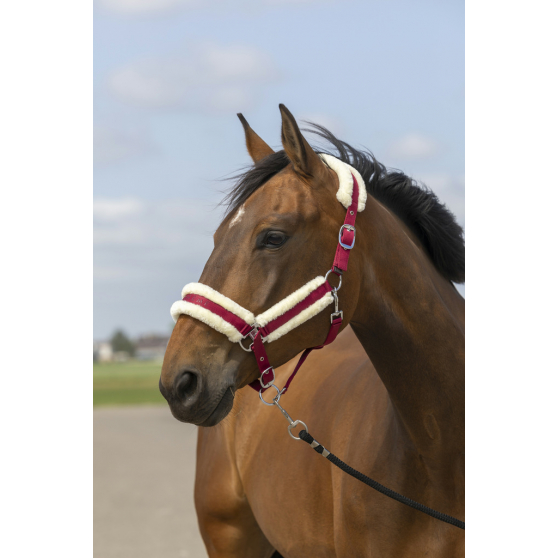 Licol EQUITHÈME Mouton - 510253 – Image 6