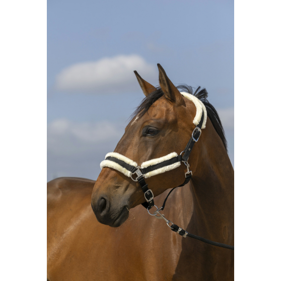 Licol EQUITHÈME Mouton - 510253 – Image 5