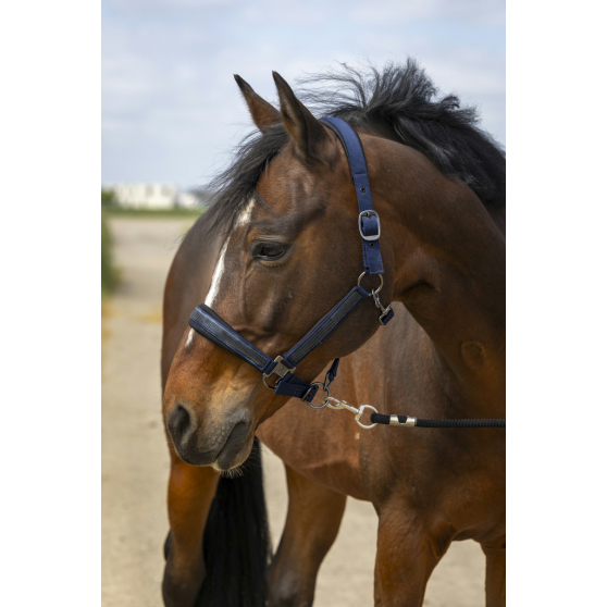 Licol EQUITHÈME - Strass - 510250 – Image 2